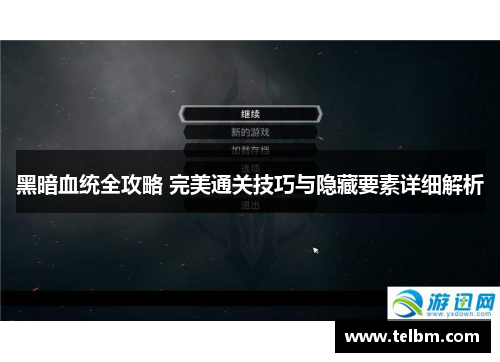 黑暗血统全攻略 完美通关技巧与隐藏要素详细解析